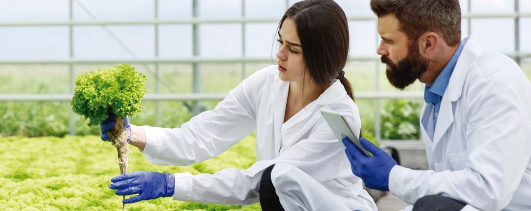 TNS en Agrícola