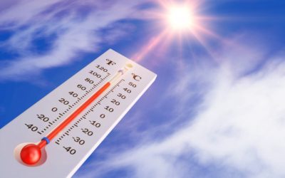 Ola de calor: docente del CFT PUCV recomienda tomar agua, no consumir bebidas con azúcar, evitar exponerse al sol y utilizar máxima protección a la piel y ojos