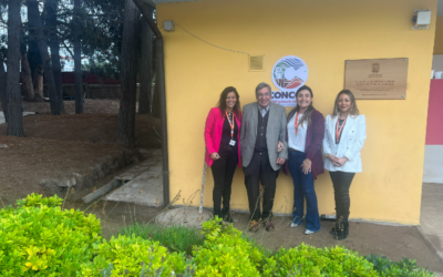 Emprendedores de Concón asisten a Talleres de Canvas y Pitch para Fondos Concursables