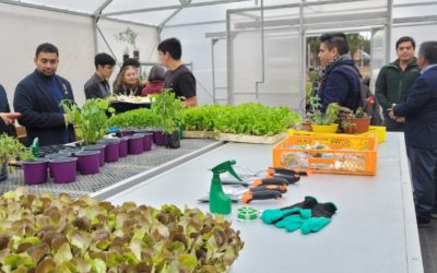 CFT PUCV Sede Costa Norte participó de la inauguración del proyecto de invernadero Aula Viva
