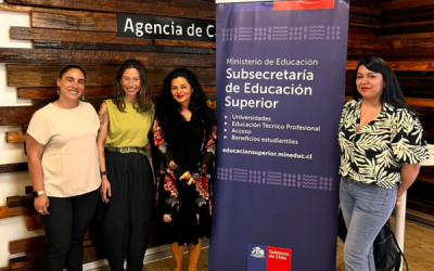 Unidad de UDISEG del CFT PUCV participa en Taller de Género en la Subsecretaria de Educación Superior en Santiago