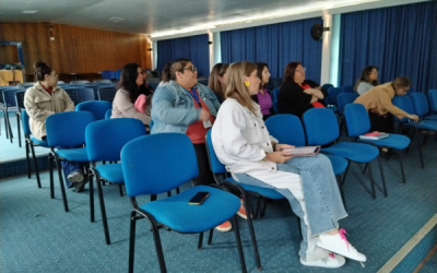 DAE imparte Capacitación sobre Desregularización Emocional y Conductual para Estudiantes con Necesidades Educativas Especiales en el CFT PUCV