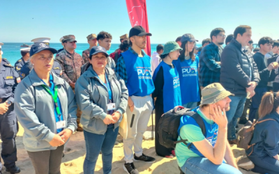 CFT PUCV se suma a exitosa iniciativa en el Día Internacional de la Limpieza de Playas