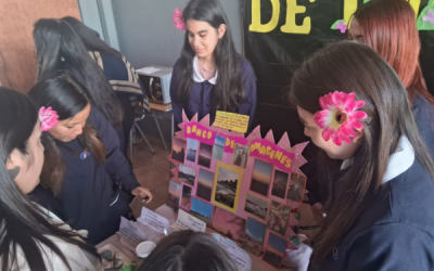 Estudiantes de TNS en Educación Parvularia desarrollaron una experiencia a través de los sentidos