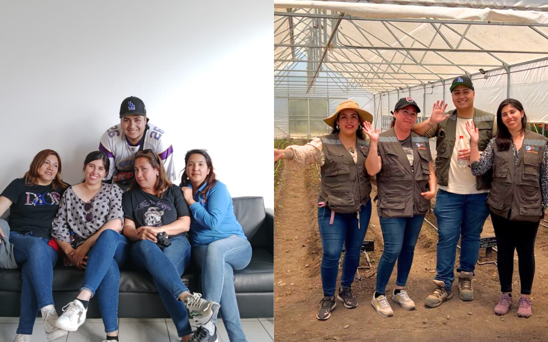 Estudiantes de TNS Agrícola de CFT PUCV obtienen 1er y 3er lugar en Concurso de Innovación Pedagógica INNOVATP 2024