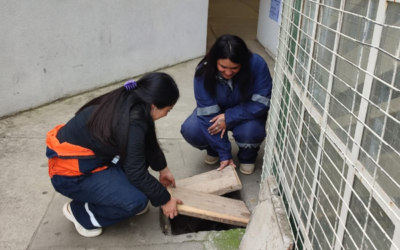 Estudiantes de CFT PUCV Sede Viña del Mar contribuyen a la mejora de infraestructura del lugar