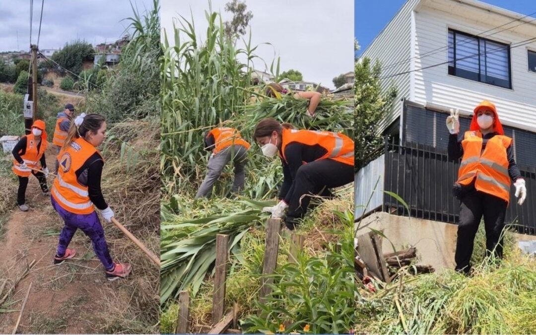 Voluntariado DAE: Comunidad activa en acciones sociales